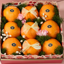 Mẫu Quà 14 - Bloom & Berry Collection