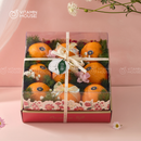 Mẫu Quà 14 - Bloom & Berry Collection