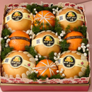 Mẫu Quà 15 - Bloom & Berry Collection