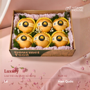 Hộp quà trái cây Bloom & Berry 28 - Lê Tặng Bác Sỹ