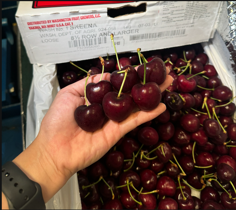 [Trái cây nhập khẩu] Cherry Đỏ Mỹ Nhiều Size (Kg)