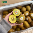 Trái Cây Cắt Sẵn Nho, Quýt, Kiwi và Cherry phần 2-3 người