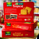 Bánh Quy Gullon Tropical Hộp 400g