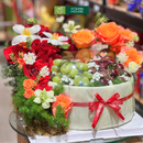 Bánh Sinh Nhật trang trí Trái Cây Cherry, Nho Xanh và Hoa Tươi Đẹp Rực Rỡ. Món quà ý nghĩa tặng ngày sinh nhật