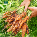 Nước Ép Cam Cà Rốt Vitamin House Chai 250ml