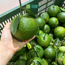 [Trái cây nội địa] Cam Sành Loại 1 (Kg)