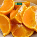 [Trái cây nhập khẩu] Cam Vàng Mỹ (Kg)