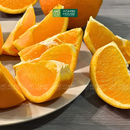[Trái cây nhập khẩu] Cam Vàng Úc (Kg)