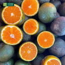 Nước Ép Cam Cà Rốt Vitamin House Chai 250ml