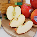 [Trái cây nhập khẩu] Táo Envy Mỹ Size 64/70 (500g)
