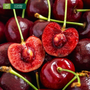 [Trái cây nhập khẩu] Cherry Canada Size 10 - Hộp 1kg