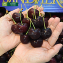 [Trái cây nhập khẩu] Cherry Canada Size 9.5 - Hộp 1kg