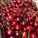 [Trái cây nhập khẩu] Cherry Đỏ New Zealand (500g)