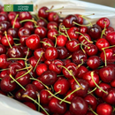 [Trái cây nhập khẩu] Cherry Đỏ New Zealand (500g)