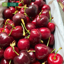 [Trái cây nhập khẩu] Cherry Đỏ New Zealand (500g)