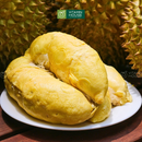 [Trái cây nội địa VN] Cơm Sầu Riêng Sáu Hữu (1Kg)
