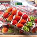[Trái cây nhập khẩu] Dâu Hàn Quốc K-Berry Hộp 330g