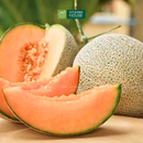 [Trái cây nội địa] Dưa Lưới Queen/Bee Melon
