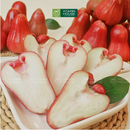 [Trái cây nội địa] Mận An Phước (1Kg)