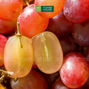 [Trái cây nhập khẩu] Nho Đỏ Úc Không Hạt Hộp 500g