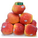 [Trái cây nhập khẩu] Táo Fuji New Zealand Size 60 (500g)