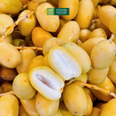 [Trái cây nhập khẩu] Chà Là Tươi (Kg)