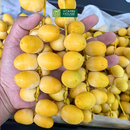 [Trái cây nhập khẩu] Chà Là Tươi (Kg)