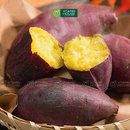 [Trái cây nội địa] Khoai Lang Giống Nhật (Kg)