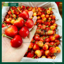 [Trái cây nhập khẩu] Cherry Vàng Mỹ Vụ 2024