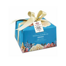 Hộp Bánh Panettone Maina Traidizioni Di Pasticceria 1Kg