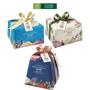 Hộp Bánh Panettone Maina Traidizioni Di Pasticceria 1Kg