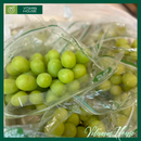 [Trái cây nhập khẩu] Nho Xanh Nam Phi (Kg)