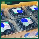 [Trái cây nhập khẩu] Hộp Việt Quất Mỹ 125g