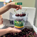 [Trái cây nhập khẩu] Cherry Đỏ Mỹ Size 8,5 - Hộp 1kg