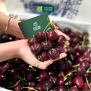 [Trái cây nhập khẩu] Cherry Đỏ Mỹ Size 8,5 - Hộp 1kg