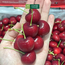 [Trái cây nhập khẩu] Cherry Đỏ Úc 30-32mm (Hộp 500g)