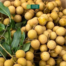 [Trái cây nội địa] Nhãn Hưng Yên (1Kg)