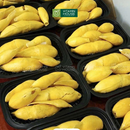 [Trái cây nội địa VN] Cơm Sầu Riêng Sáu Hữu (1Kg)