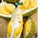 [Trái cây nội địa VN] Cơm Sầu Riêng Ri6 Huỳnh Lâm (Kg)