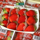 [Trái cây nhập khẩu] Dâu Joy Farm Hàn Quốc 330g