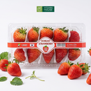 [Trái cây nhập khẩu] Dâu Hàn Quốc K-Berry Hộp 330g