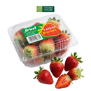 [Trái cây nhập khẩu] Dâu Hàn hộp Premium Fruel 250g