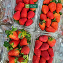 [Trái cây nhập khẩu] Dâu Tây Redberry Farm Nam Phi Hộp 250g