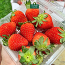 [Trái cây nhập khẩu] Dâu Hàn hộp NH Trading 250g