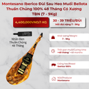Montesano Iberico Đùi Sau Heo Muối Bellota Thuần Chủng 100% 48 Tháng Có Xương TBN (7 - 9Kg)