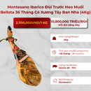 Montesano Iberico Đùi Trước Heo Muối Bellota 36 Tháng Có Xương Tây Ban Nha (4Kg)