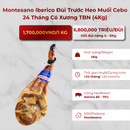 Montesano Iberico Đùi Trước Heo Muối Cebo 24 Tháng Có Xương TBN (4Kg)