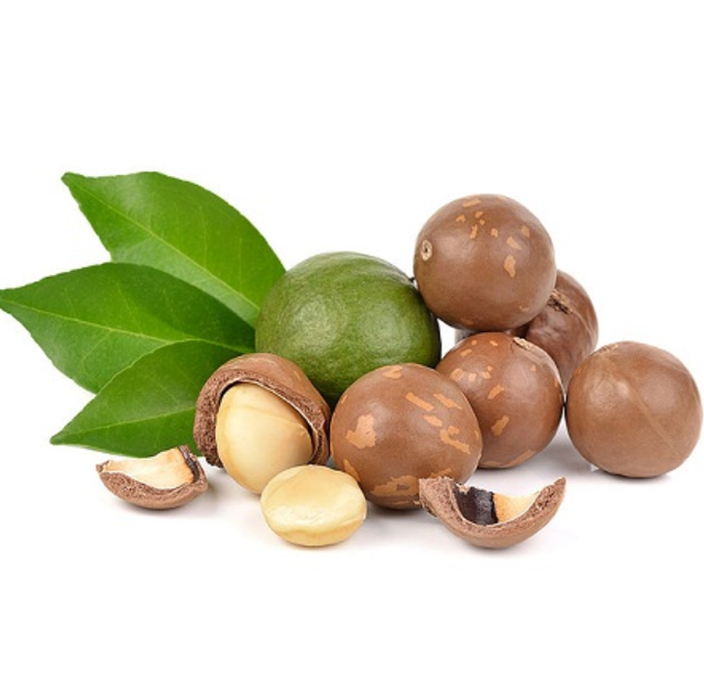 Hạt Macca Vị Cacao YAS Hộp 200g