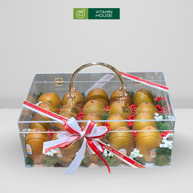 Giỏ Quà Trái Cây kiwi đựng trong Hộp Vali Tinh Tế - Gửi Gắm Sự Trân Trọng Lời Cảm Ơn