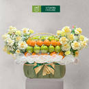 giỏ trái cây hoa tươi tặng nhân dịp đi ra mắt. Nho xanh, táo xanh, quýt úc